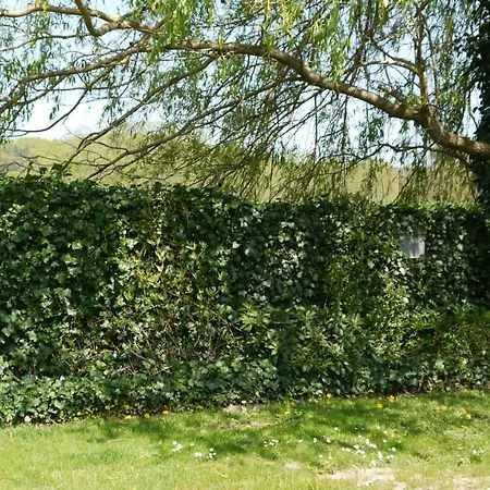 Elbe Ferien * Marschacht