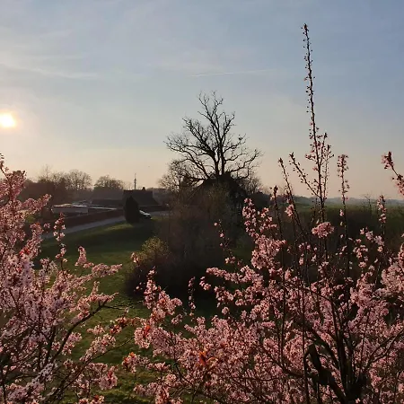 Elbe Ferien Marschacht