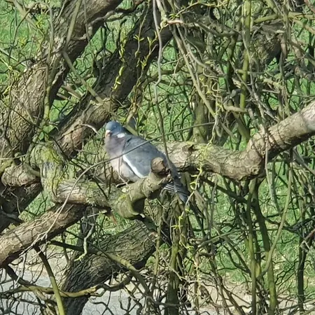 Elbe Ferien * Marschacht