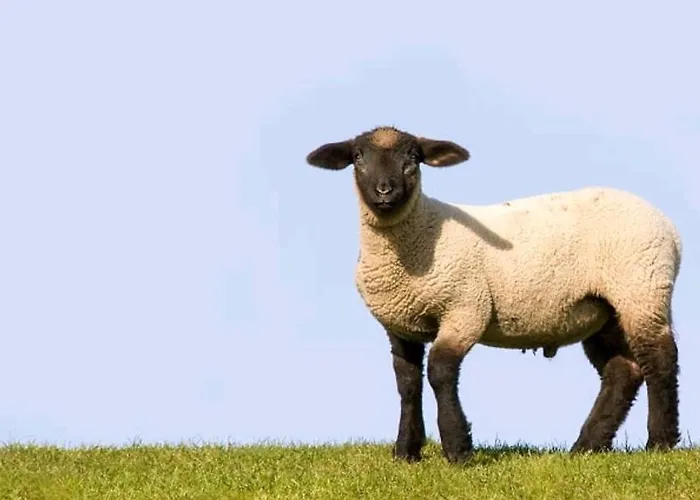 Elbe Ferien Διαμέρισμα