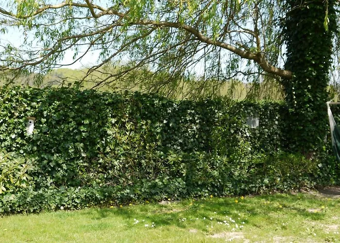 Elbe Ferien * Marschacht