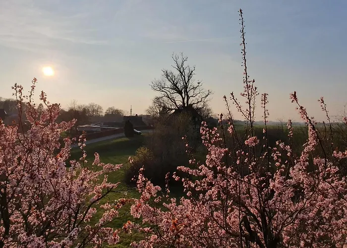 Elbe Ferien Marschacht